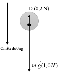 Hình sau biểu diễn các lực tác dụng lên quả tennis đang rơi thẳng đứng. Cho m = 56 g, hãy tính gia tốc của quả tennis.