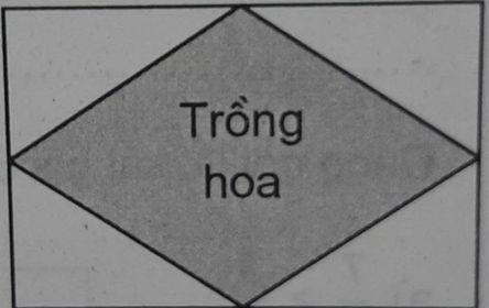 Toán lớp 4: Giải toán cơ bản và nâng cao tuần 27 luyện tập 2