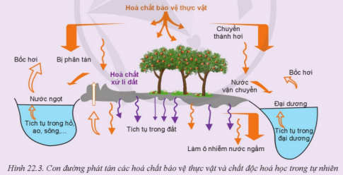 Giải bài 22 Những vấn đề chung về bảo vệ môi trường trong trồng trọt