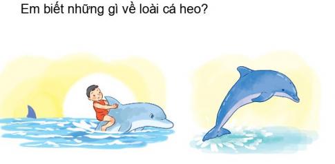 [Phát triển năng lực] Tiếng việt 1 bài 25D: Những con vật thông minh