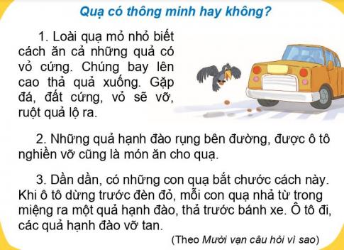 [Phát triển năng lực] Tiếng việt 1 bài 25D: Những con vật thông minh