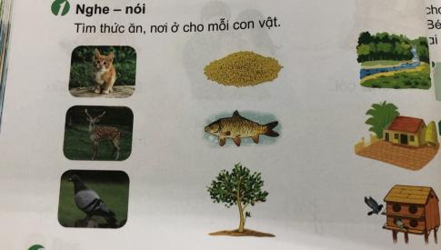 [Phát triển năng lực] Tiếng việt 1 bài 7E: Ôn tập ao - eo, au - âu, êu - iu - ưu, iêu - yêu - ươu