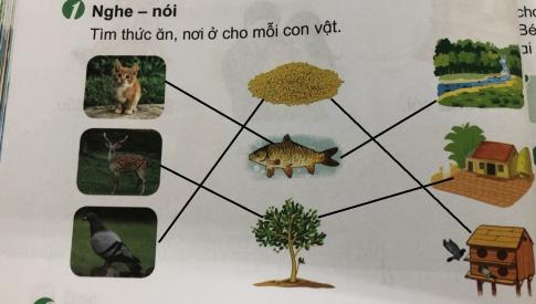 [Phát triển năng lực] Tiếng việt 1 bài 7E: Ôn tập ao - eo, au - âu, êu - iu - ưu, iêu - yêu - ươu