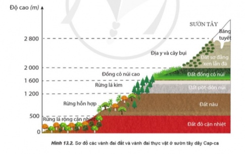 Giải bài 13 Thực hành: Phân tích bản đồ, sơ đồ về phân bố của đất và sinh vật trên thế giới