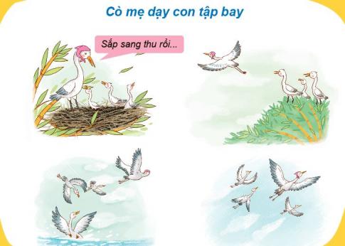 [Phát triển năng lực] Tiếng việt 1 bài 26B: Bữa cơm gia đình