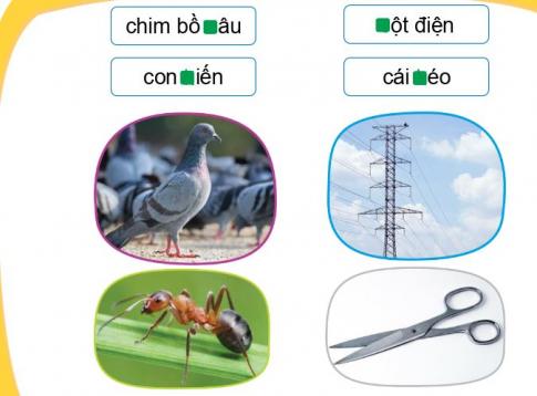 [Phát triển năng lực] Tiếng việt 1 bài 20A: Bạn bè tuổi thơ