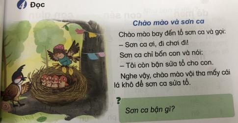 [Phát triển năng lực] Tiếng việt 1 bài 8B: on, ôn, ơn