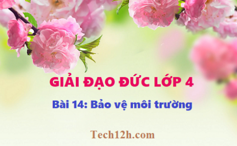 Giải bài 14: Bảo vệ môi trường - Đạo đức 4, trang 42 sgk