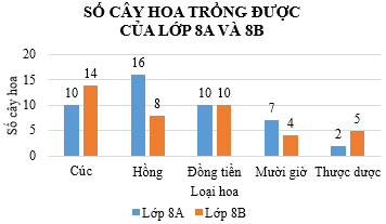  Quan sát các Hình a, b và cho biết cách trình bày ở hình nào giúp em dễ dàng hơn khi so sánh số cây hoa trồng được của lớp 8A và 8B.