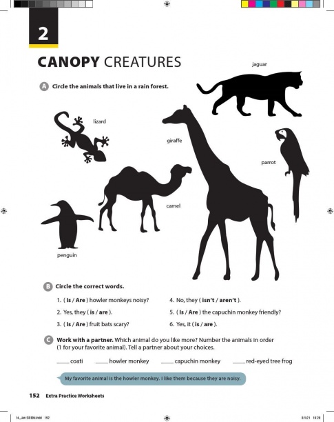 [Explore] Tiếng Anh 6 Unit 2: Canopy Creatures