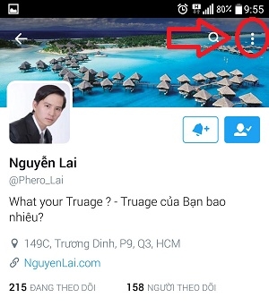 Hướng dẫn cách  chặn một ai đó trên Twitter