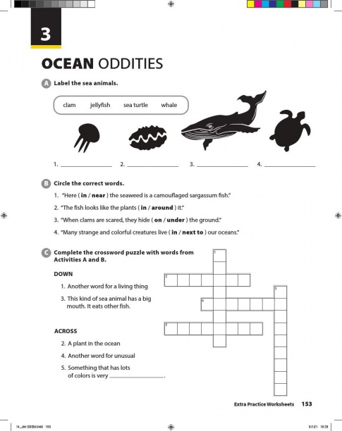 [Explore] Tiếng Anh 6 Unit 3: Ocean Oddities