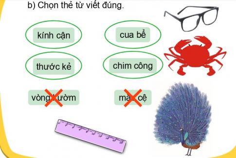 [Phát triển năng lực] Tiếng việt 1 bài 20B: Bạn thích đồ chơi gì?