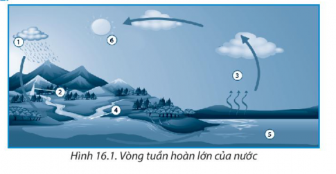 [Chân trời sáng tạo] Giải SBT lịch sử và địa lí 6 bài 16: Thủy quyển. Vòng tuần hoàn nước. Nước ngầm, băng hà