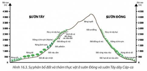 Giải bài 16 Thực hành: Phân tích sự phân bố của đất và sinh vật trên Trái Đất