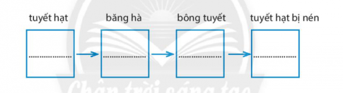 [Chân trời sáng tạo] Giải SBT lịch sử và địa lí 6 bài 16: Thủy quyển. Vòng tuần hoàn nước. Nước ngầm, băng hà