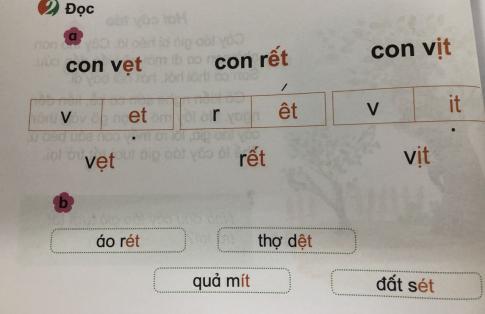 [Phát triển năng lực] Tiếng việt 1 bài 10C: et, êt, it