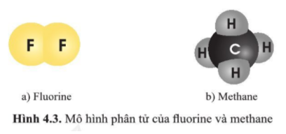 Giải bài 4 Phân tử đơn chất hợp chất