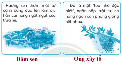 [CTST] Giải VBT Tiếng Việt 2 bài: Ôn tập giữa học kì II (2)