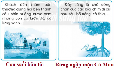 [CTST] Giải VBT Tiếng Việt 2 bài: Ôn tập giữa học kì II (2)