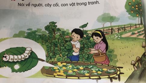 [Phát triển năng lực] Tiếng việt 1 bài 11B: am, ăm âm