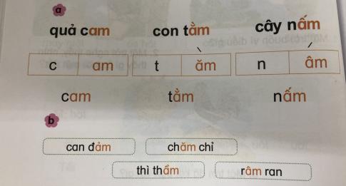 [Phát triển năng lực] Tiếng việt 1 bài 11B: am, ăm âm