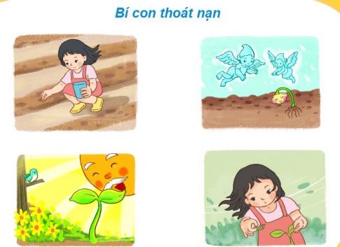 [Phát triển năng lực] Tiếng việt 1 bài 30B: Cuộc sống của các loài cây