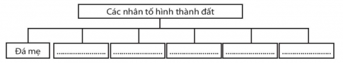 [Chân trời sáng tạo] Giải SBT lịch sử và địa lí 6 bài 19: Lớp đất và các nhân tố hình thành đất. Một số nhóm đất điển hình