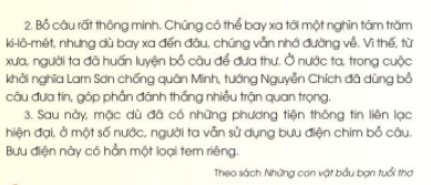 Chim bồ câu ấp trứng, nuôi con mới nở như thế nào?