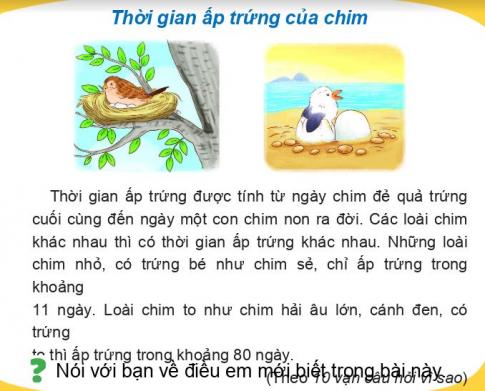 [Phát triển năng lực] Tiếng việt 1 bài 30D: Điều em muốn biết