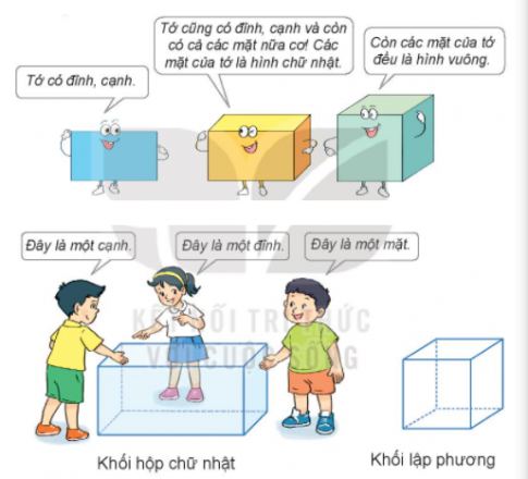 Giải toán 3 kết nối tri thức bài 21: Khối lập phương, khối hộp chữ nhật