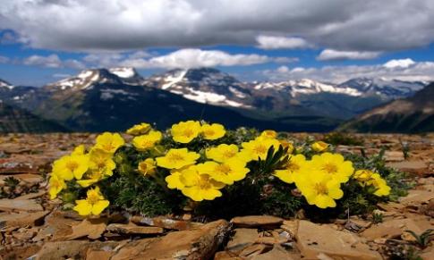 Suy nghĩ của bạn về lời dạy của Đức Phật: “Giọt nước chỉ hòa vào biển cả mới không cạn mà thôi”