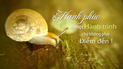 Người hạnh phúc nhất là người đem đến hạnh phúc cho nhiều người nhất