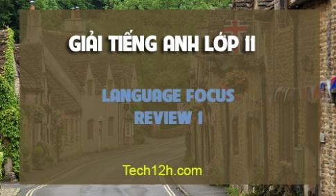 Language focus Review 1