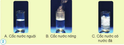 So sánh nhiệt độ của các cốc nước. Giải thích?