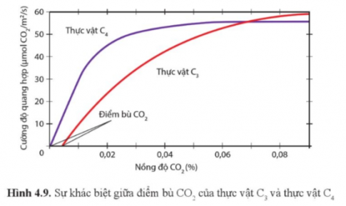 Quan sát hình 4.9, so sánh nhu cầu CO2 giữa thực vât C3 và C4.