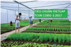 Hình ảnh nào thể hiện trồng trọt theo tiêu chuẩn VietGap?