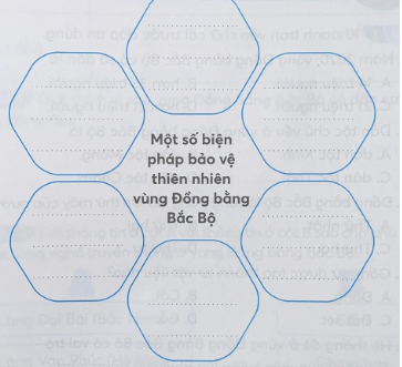 Hoàn thành sơ đồ dưới đây về một số biện pháp bảo vệ thiên nhiên ở vùng Đồng bằng Bắc Bộ