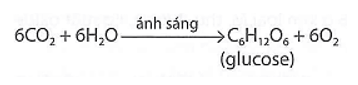 Một trong các phản ứng quang hợp có PTHH như sau