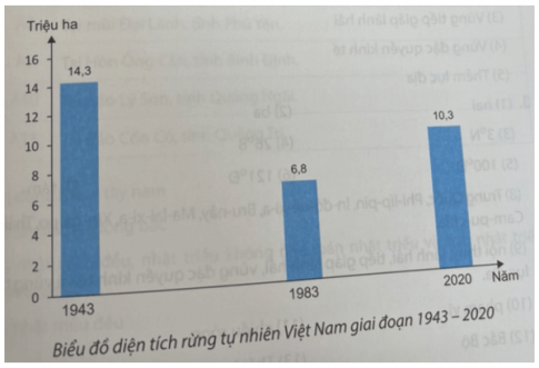 - Vẽ biểu đồ thể hiện diện tích rừng tự nhiên của Việt Nam giai đoạn