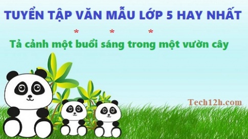 Những bài văn tả cảnh buổi sáng trong một vườn cây hay nhất tiếng việt lớp 5