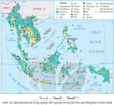 Câu 1: Quan sát Hình 12.2. Bản đồ phân bố nông nghiệp, lâm nghiệp và thủy sản khu vực Đông Nam Á năm 2020 và kể tên những quốc gia trồng cà phê trong khu vực.