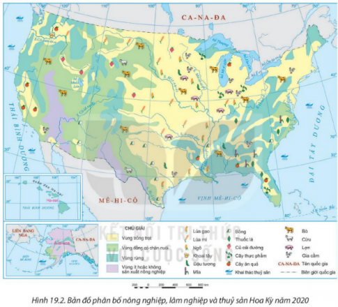  Quan sát Hình 19.2. Bản đồ phân bố nông nghiệp, lâm nghiệp và thủy sản Hoa Kỳ năm 2020 và kể tên những cây trồng ở phía đông Hoa Kỳ.