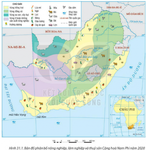  Quan sát hình 31.1. Bản đồ phân bố nông nghiệp, lâm nghiệp và thủy sản Cộng hòa Nam Phi năm 2020 và kể tên những cây trồng ở phía đông nam của quốc gia này.