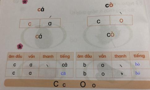 [Phát triển năng lực] Tiếng việt 1 bài 1B: c, o