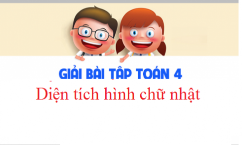 Giải VBT toán 3 tập 2 bài: Diện tích hình chữ nhật Trang 62