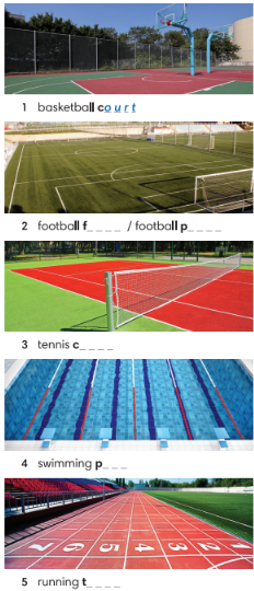 [English Discovery] Giải SBT Tiếng Anh 6 Unit 6: A question of sport - Reading and Vocabulary