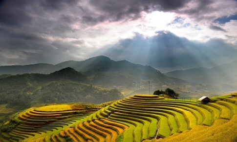  Thuyết minh về ruộng bậc thang Sapa