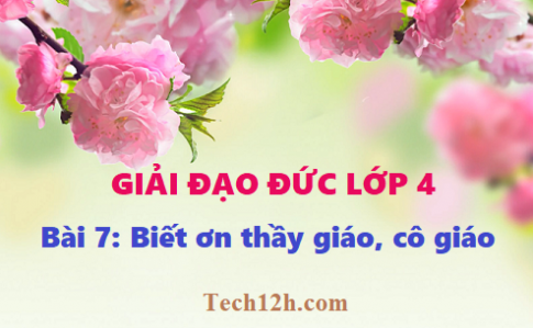 Giải bài 7: Biết ơn thầy giáo, cô giáo - Đạo đức 4, trang 20 sgk