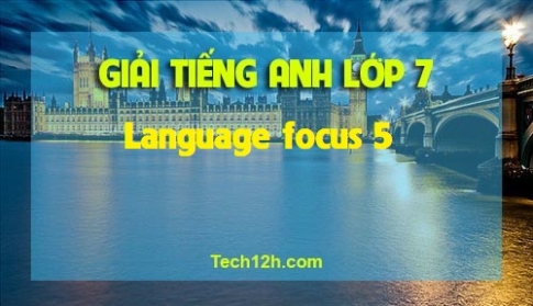 Language focus 5